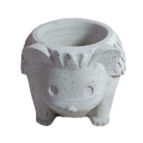 Maceta de Erizo